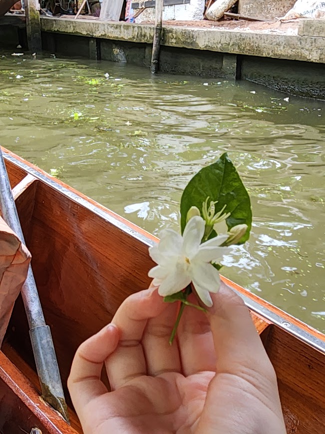 手上的茉莉花串